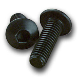 RS2000 REPLACEMENT CAP SCREWS - 2 PK.